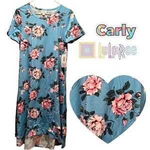 LulaRoe Carly Long/Midi Dress High Low Hem Stretchy Comfortable Light Blue Pink